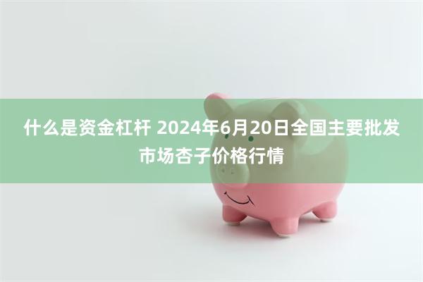 什么是资金杠杆 2024年6月20日全国主要批发市场杏子价格行情