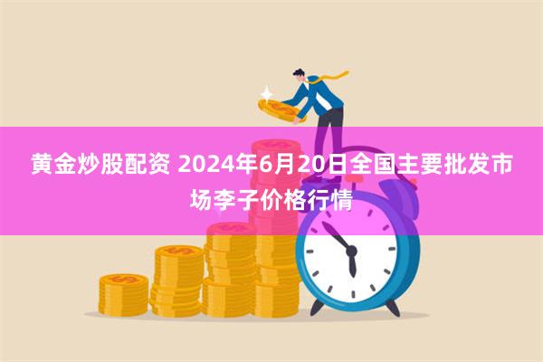 黄金炒股配资 2024年6月20日全国主要批发市场李子价格行情