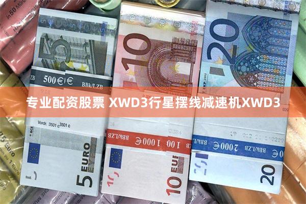 专业配资股票 XWD3行星摆线减速机XWD3