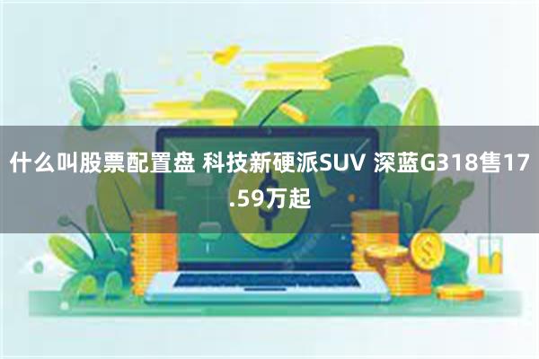 什么叫股票配置盘 科技新硬派SUV 深蓝G318售17.59万起