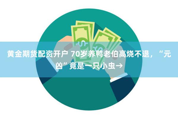 黄金期货配资开户 70岁养鸭老伯高烧不退，“元凶”竟是一只小虫→