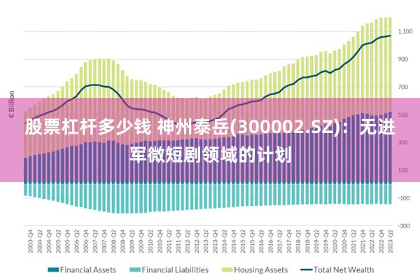 股票杠杆多少钱 神州泰岳(300002.SZ)：无进军微短剧领域的计划