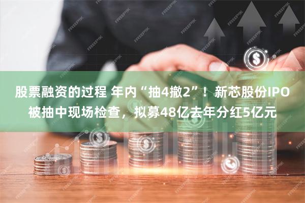 股票融资的过程 年内“抽4撤2”！新芯股份IPO被抽中现场检查，拟募48亿去年分红5亿元