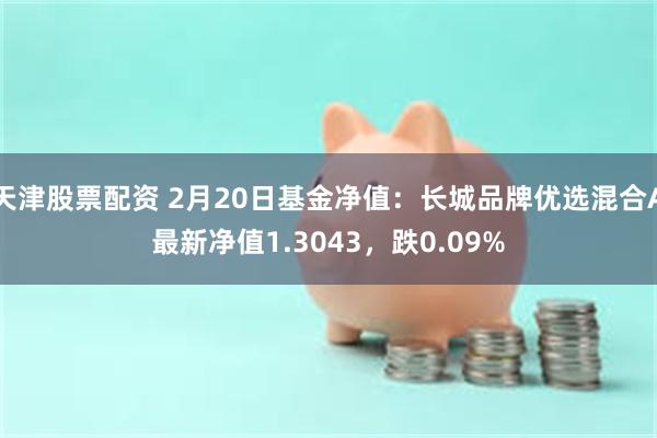 天津股票配资 2月20日基金净值：长城品牌优选混合A最新净值1.3043，跌0.09%